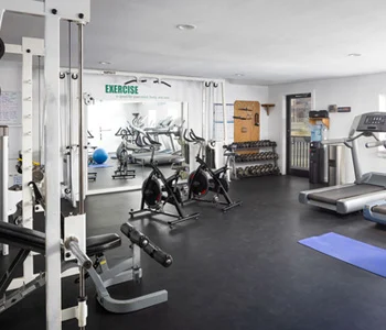 Holistic Therapies